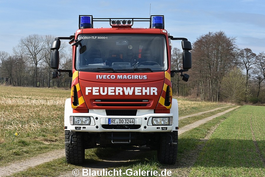 TLF - RE-DO3244