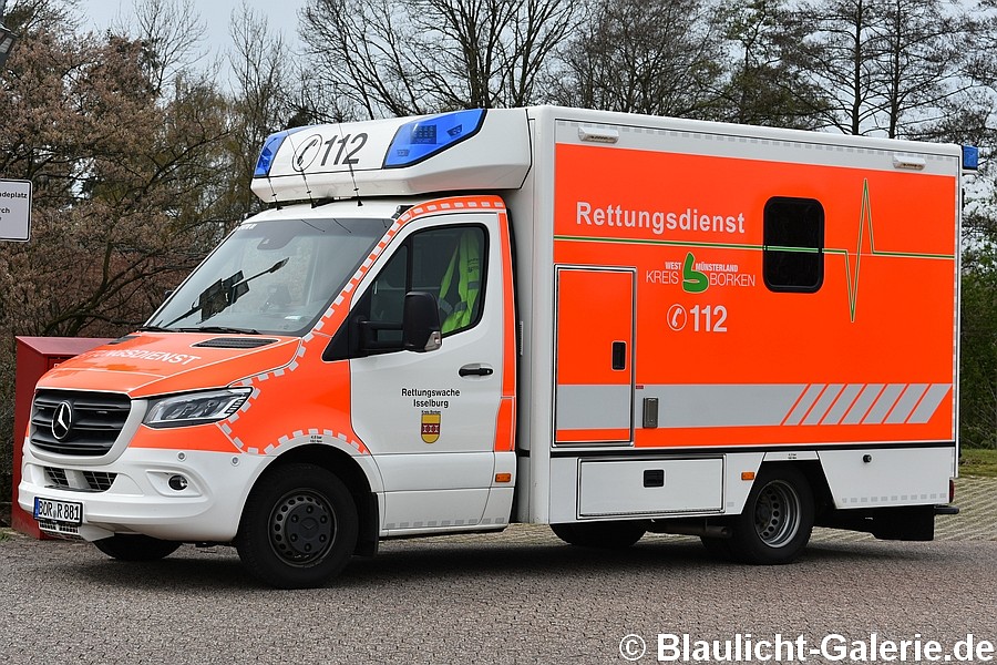 RTW - BOR-R881