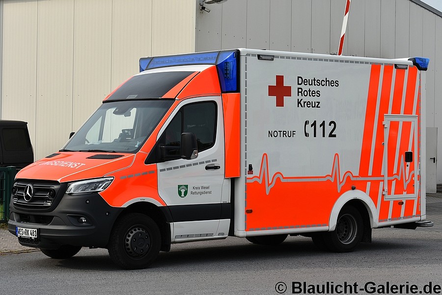 RTW - WES-RK481
