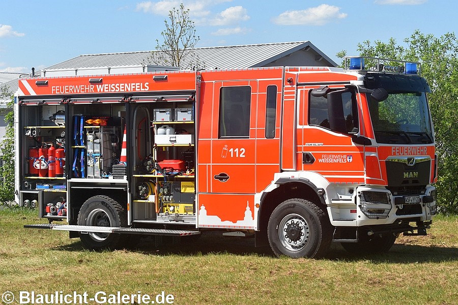 TLF - WSF-YY22