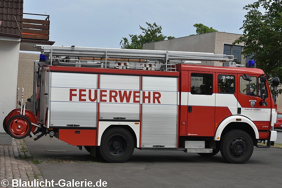 LF - HEI-2485