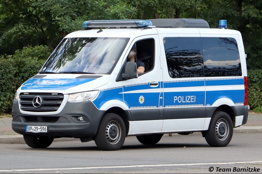 HGruKw - BP-29-596