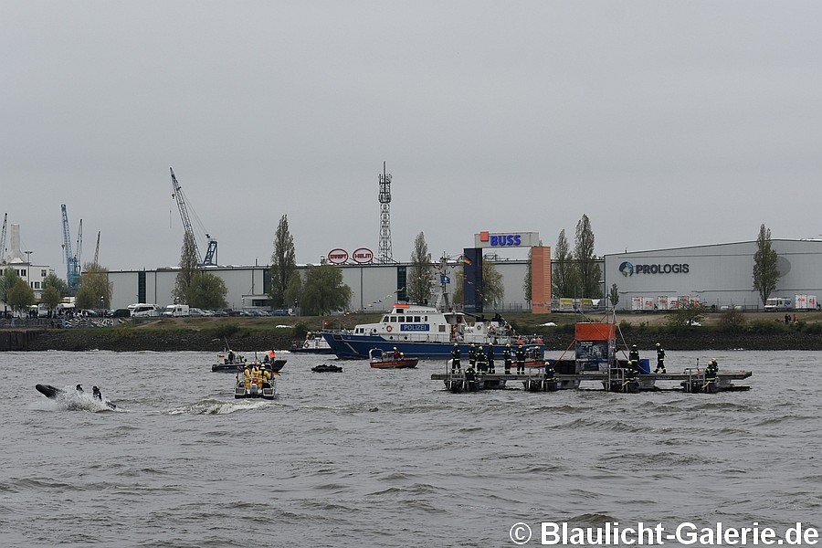 Hafengeburtstag - Hamburg