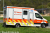 RTW - EN-YU426