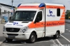 RTW - Pfotenexpress