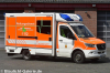 RTW - BOR-R384 RTW - BOR-R384