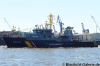 Seefalke - Cuxhafen