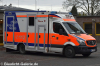 RTW - NE-TT4834