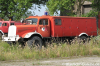 TLF - TLF -