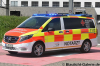 NEF - FD-RK9821