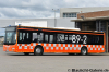 BUS - HB-FB116